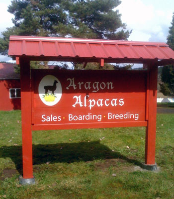 Aragon Alpacas, Sales - Boarding - Breeding